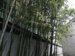 -罔极寺