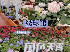 -盈香心动乐园