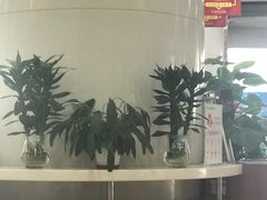 -中国光大银行(三亚分行营业部)