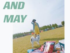 -春花秋色城市公园