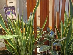 -灶座小锅烀饼·铁锅炖(道里店)