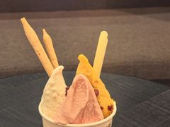 -陕拾叁-西安糕点(大雁塔店)