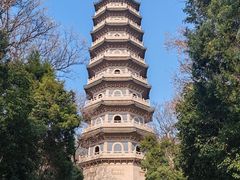 -灵谷景区