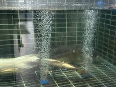 -老海陵·泰州菜(图书馆店)