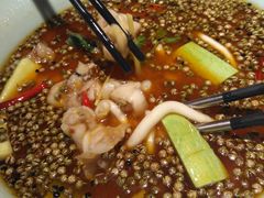 -晶泽丽琅·鱼鲜川菜(川师店)