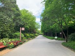 -上海滨江森林公园