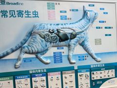 -伟伟宠物医院·CT影像中心·瑞派犬猫综合性门诊(汉口总院)