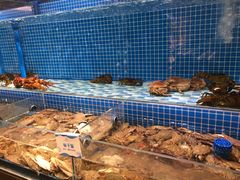 螃蟹-蓝钻·国际美食海鲜自助百汇(西直门店)