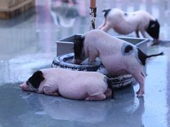 -渔岛海洋度假区