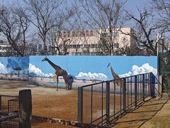 -昆明动物园