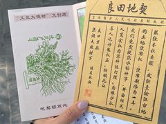 -大槐树寻根祭祖园
