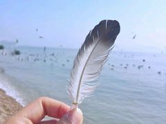 -海驴岛(荣成市)