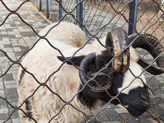 -长白岛森林公园