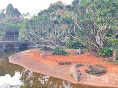 -海南热带野生动植物园