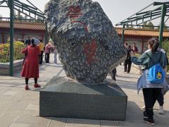 -神州牡丹园