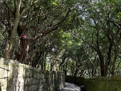 -普陀山慧济禅寺