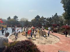 -铁山坪森林公园