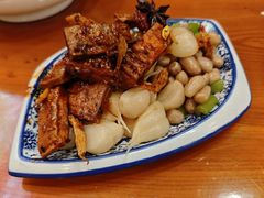 -春发芽葫芦头(科技二路旗舰店)