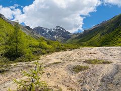 -黄龙山原始森林景区