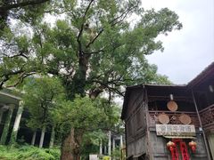 -上坦村
