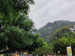 -盘龙黄鳝(盘龙居店)