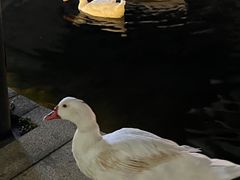 -YUNHE秐合· 雅致浙宴(西溪店)