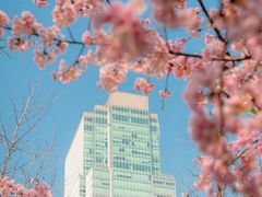 -静安雕塑公园
