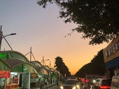 -大湾区中央湿地公园-十九涌