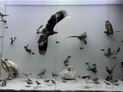 -盐城丹顶鹤湿地生态旅游区