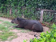 -野生动物园-停车场