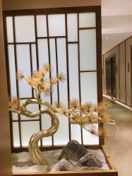 -HQ半永久纹绣纹眉