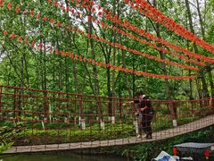 -合肥滨湖国家森林公园