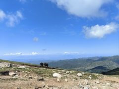 -灵山