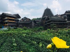 -程阳八寨景区