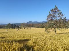 -塔川景区