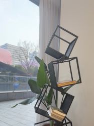 -世田造型