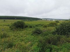 -塞罕坝国家级自然保护区