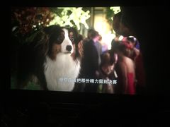 -博纳国际影城(铜锣湾激光巨幕杜比店)