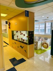 -杭州贝瑞斯美华妇儿医院·早孕·产检·儿科