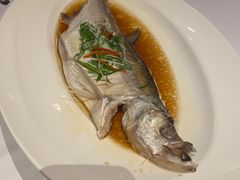 -赵记老铺(市府恒隆广场店)
