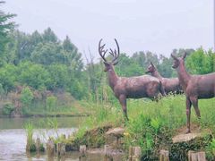 -苏州太湖国家湿地公园
