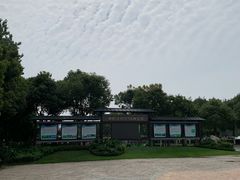 -合肥滨湖国家森林公园