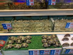 阳澄湖大闸蟹-宜宾海鲜酒家·三十年老字号