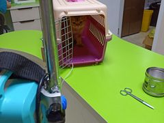 -德元·美联众合24小时动物医院(总院)