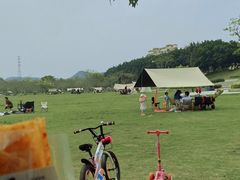 -风云岭森林公园