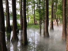 -东湖落雁景区