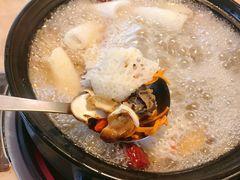 -蘑统田下·野生菌火锅