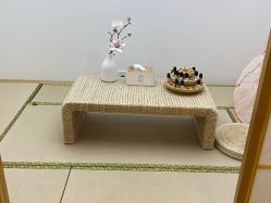 -POCO宝珂丽科技美肤