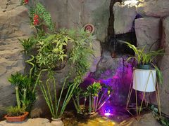 -富侨养生(光大会展店)