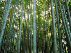 -杭州黄龙洞
